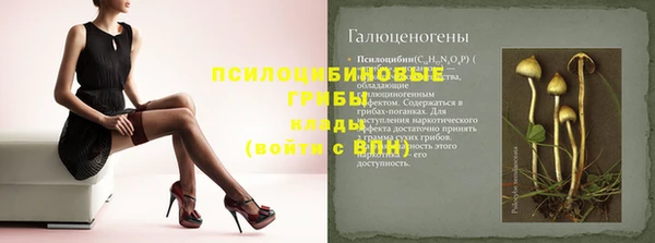 mdpv Гусиноозёрск
