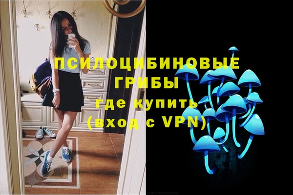 хмурый Горняк