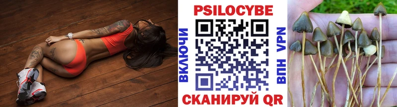Галлюциногенные грибы ЛСД  Купить где  Холм 